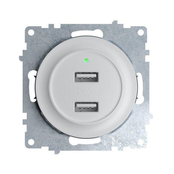Розетка USB подвійна з підсвіткою OneKeyElectrо, колір білий (OKE100601)