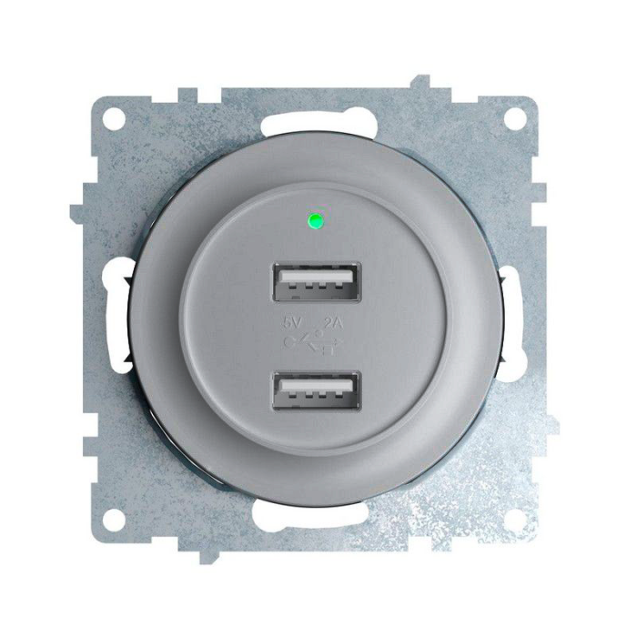 Розетка USB подвійна з підсвіткою OneKeyElectrо, колір сірий (OKE100603)