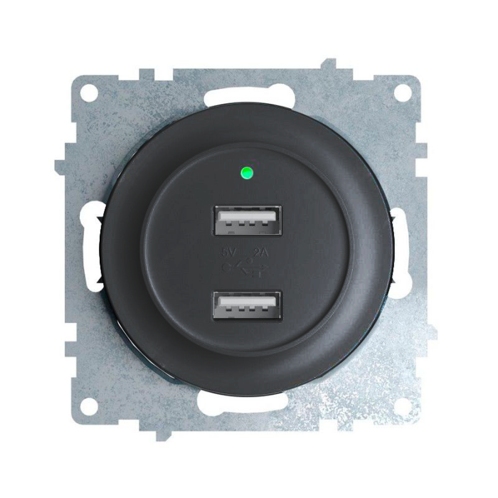 Розетка USB подвійна з підсвіткою OneKeyElectrо, колір чорний (OKE100604)